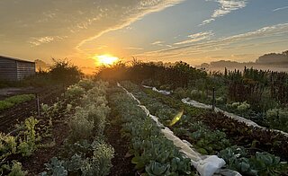 Tuinderij winterklaar maken