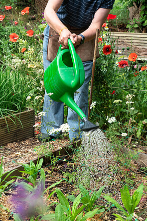 Opvangen van regenwater 