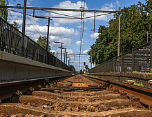 spoor