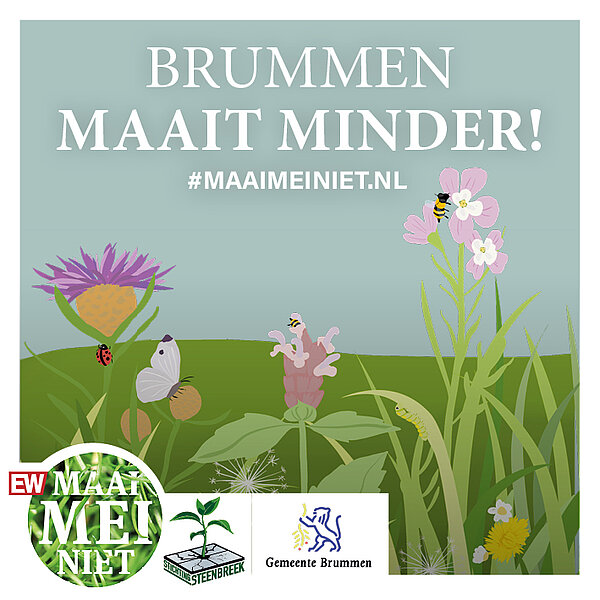 Poster gemeente Brummen maait minder in mei