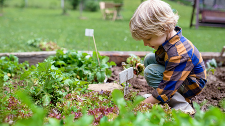 Kind in de moestuin