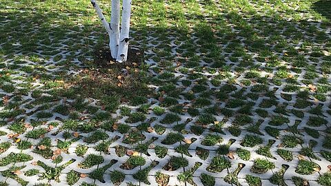 Groene parkeerplaats