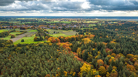 Herfst op de Veluwe