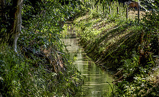 Beek in Eerbeek