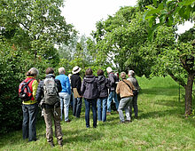 Beeld van cursus