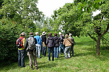 Beeld van cursus
