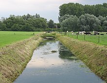 Sloot met gemaaide bermen
