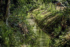 Water in Eerbeek