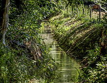 Water in Eerbeek