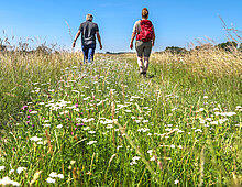 Klompenpad in gemeente Brummen