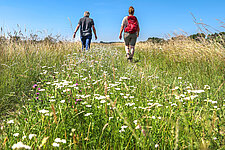 Klompenpad in gemeente Brummen