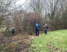 Inventarisatie door de Vlinderstichting