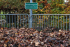 Bladkorf