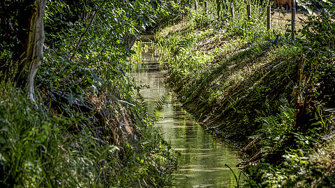 Beek in gemeente Brummen