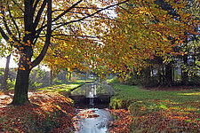 Watergang in gemeente Brummen