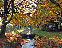 Watergang in gemeente Brummen
