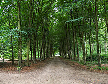 Natuur in gemeente Brummen