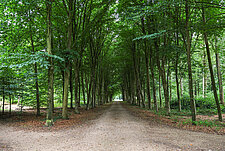 Natuur in gemeente Brummen
